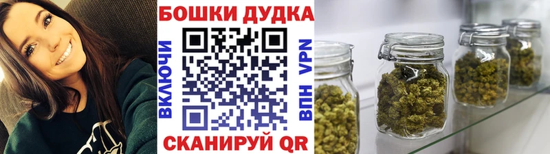 продажа наркотиков Судогда Шишки марихуана марихуана